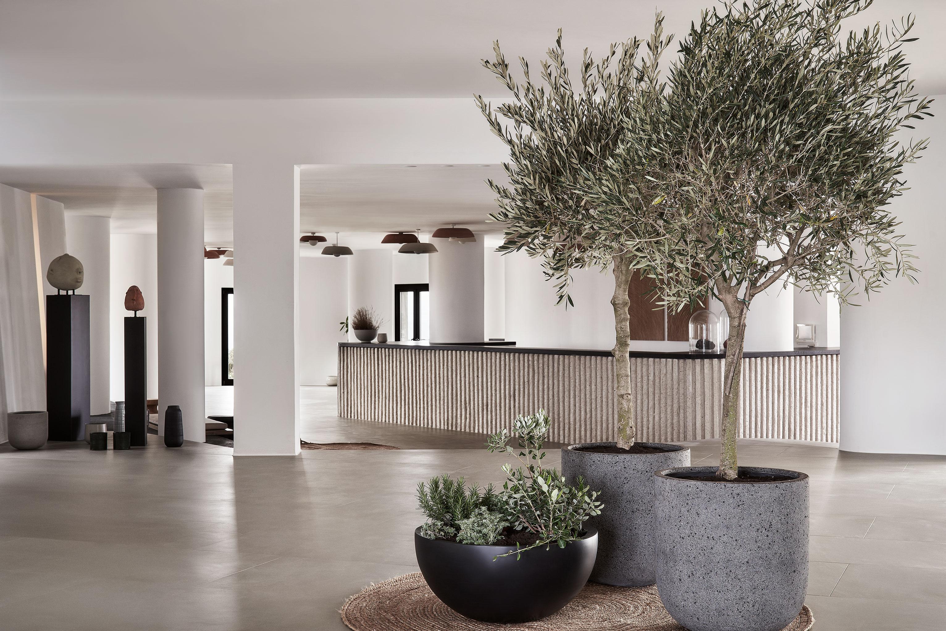 Orama Hotel & Spa 산토리니 외부 사진 Interior of the hotel
