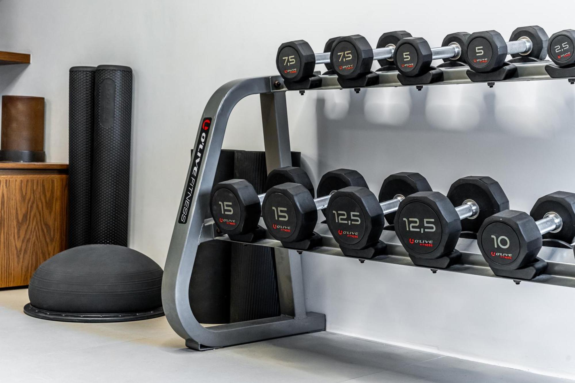 Orama Hotel & Spa 산토리니 외부 사진 Dumbbells on a rack
